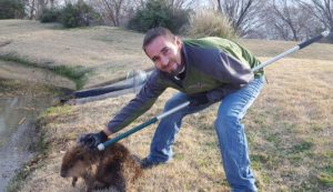 Beaver Removal - Wildlife X Trapping Service